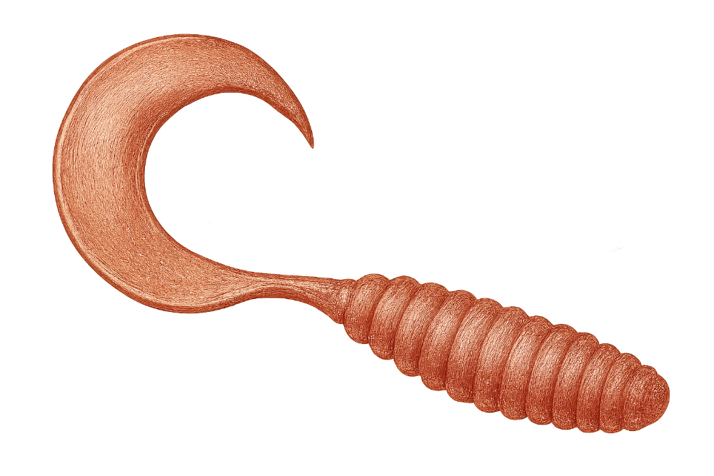 Leurre de pêche